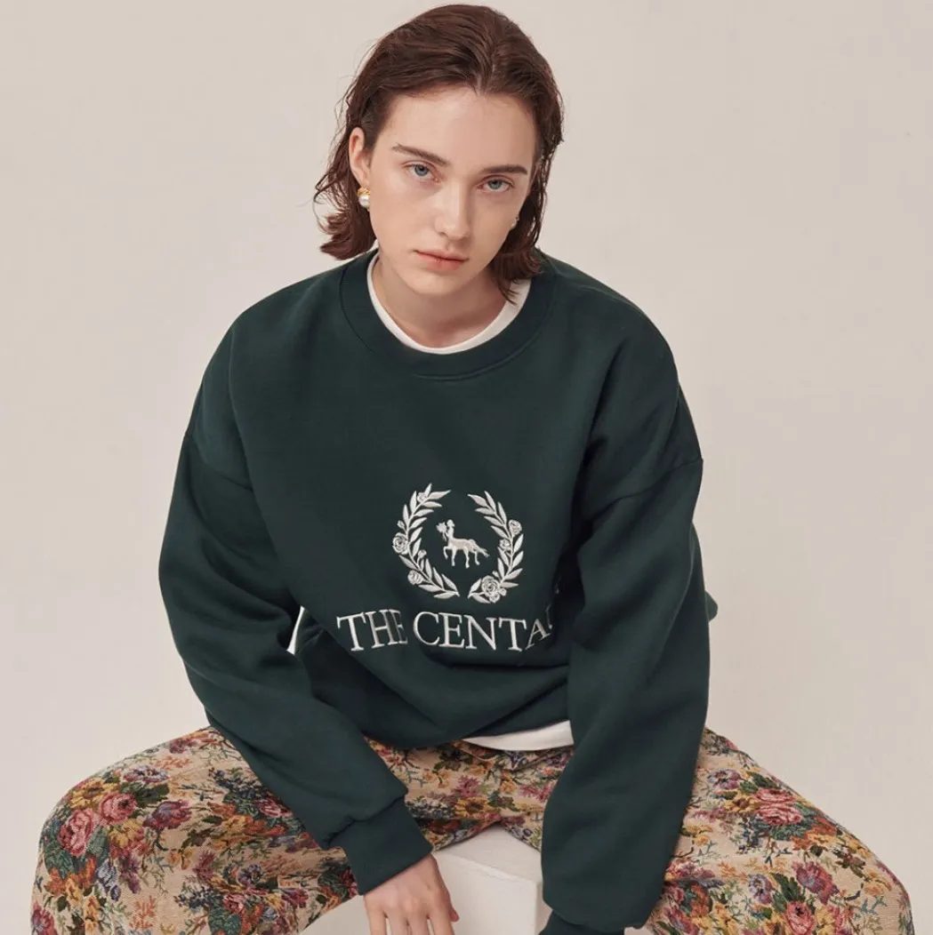 THE CENTAUR  |Unisex Street Style Hoodies & Sweatshirts