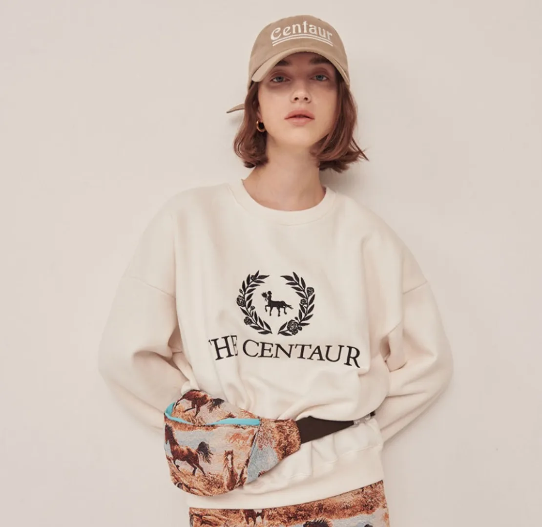 THE CENTAUR  |Unisex Street Style Hoodies & Sweatshirts