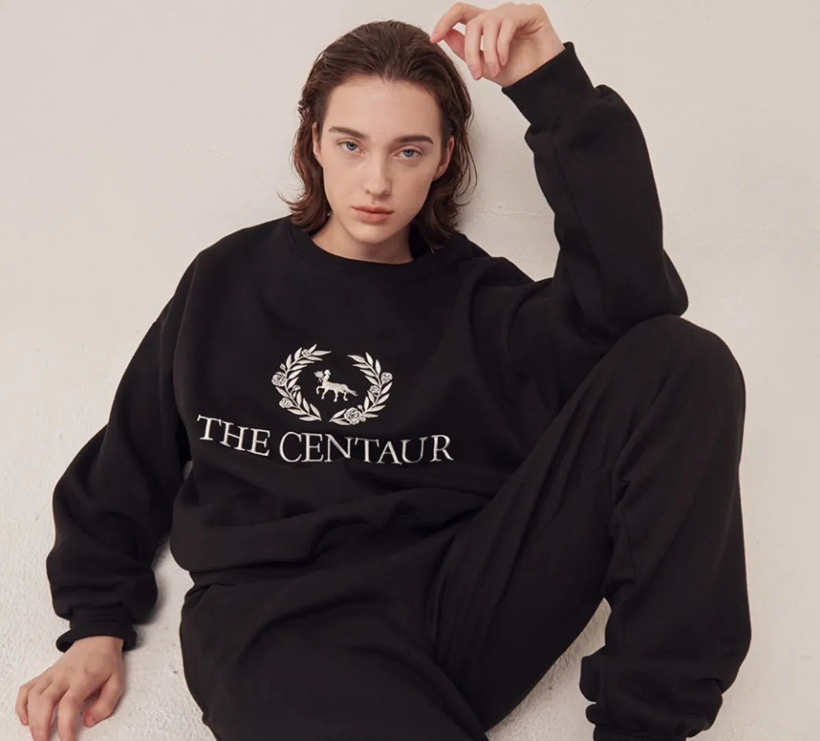 THE CENTAUR  |Unisex Street Style Hoodies & Sweatshirts